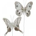 Floristik24 Deco motýle biele, hnedé perie motýlik na drôte 7,5cm 6ks