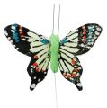 Floristik24 Ozdobné motýliky farebný zadok.6cm 24ks