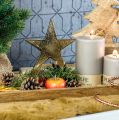 Floristik24 Dekoračná hviezda, kovová dekorácia na mangovom dreve, adventná dekorácia š15cm