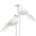 Floristik24 Deko holubice na drôte biele 9cm 6ks