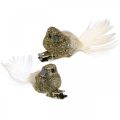 Floristik24 Deco párik holubov Deco vtáčiky s klipom Golden L5cm 4ks