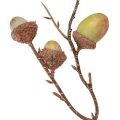 Dekoratívna dekorácia žaluďov zelená jesenná dekorácia umelá 80 cm | Floristik24.sk