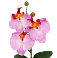 Floristik24 Deko orchidea v kvetináči ružová V29cm