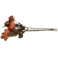 Floristik24 Deco ruža kytica umelé kvety ruža kytica oranžová 45cm 3ks