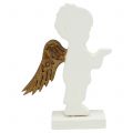 Floristik24 Deko anjel biely so zlatými krídelkami 8,5cm 8ks