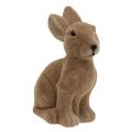 Floristik24 Deco králik hnedý vločkovaný 20cm 3ks