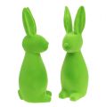 Floristik24 Deco králiky zelené 30cm 2ks