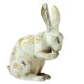Floristik24 Dekoračné králiky sediace stojace biele zlato V12,5x16,5cm 2ks