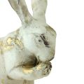 Floristik24 Dekoračné králiky sediace stojace biele zlato V12,5x16,5cm 2ks