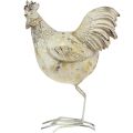 Floristik24 Dekoračné kurčatá Biele zlato Kohút sliepka Vintage L13cm 2ks