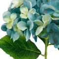 Floristik24 Ozdobná hortenzia modrá umelý kvet Umelý záhradný kvet V35cm