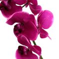 Floristik24 Deco orchidea ružová L77cm