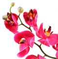 Floristik24 Dekoratívna orchidea vo fuchsiovej farbe 77cm