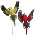 Floristik24 Kvetinová zátka vtáčik, deco papagáj červená žltá 28×19cm 2ks