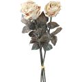 Floristik24 Dekoratívne ruže Krémová biela Umelé ruže Hodvábne kvety Starožitný vzhľad L65 cm Balenie 3 ks