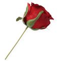 Floristik24 Deko hlavička ruže červená Ø9cm 6ks