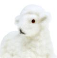 Floristik24 Deco ovečka stáda 15cm biela 3ks