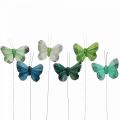 Floristik24 Deco motýlik na drôte zelený, modrý 5-6cm 24p