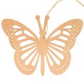 Floristik24 Deko motýliky deko vešiak oranžový/ružový/žltý 12cm 12ks