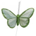 Floristik24 Ozdobné motýliky zelené perie motýliky na drôte 10cm 12ks