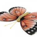 Floristik24 Deco motýle s klipom B4,5–11,5cm 10ks hnedooranžový