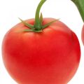 Floristik24 Deco tomato red food atrapa paradajková lata L15cm