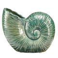 Floristik24 Dekoratívna váza ulita slimáka keramická zelená 18x8,5x15,5cm