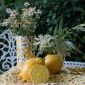 Floristik24 Dekoratívna citrónová keramická letná dekorácia na stôl 11cm