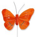 Floristik24 Deko motýle na drôte viacfarebné 8 cm