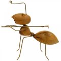 Floristik24 Ozdobná figúrka mravca kovová s hrabľami záhradná dekorácia hrdza 21,5cm