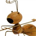 Floristik24 Ozdobná figúrka mravca kovová s hrabľami záhradná dekorácia hrdza 21,5cm