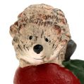 Floristik24 Ozdobná figúrka ježko na jablku 7,5 cm keramika