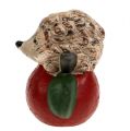Floristik24 Ozdobná figúrka ježko na jablku 7,5 cm keramika
