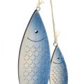 Floristik24 Ozdobný vešiak ryba modrá biela šupina 11,5/20cm sada 2 ks