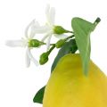 Floristik24 Dekoračné ovocie, citróny s listami žlté 9,5cm 4ks