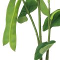 Floristik24 Ozdobná vetvička fazuľová vetvička umelá rastlina zelená 95cm