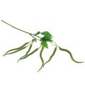 Floristik24 Ozdobná vetvička čili vetvička umelá rastlina feferónky zelená červená 78cm