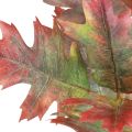 Floristik24 Deko konár jesenné deko listy dubové listy červené, zelené 100cm