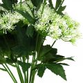 Floristik24 Kôpor kvitnúci, umelé bylinky, okrasná rastlina zelená, biela 49cm 9ks