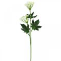Floristik24 Kôpor kvitnúci, umelé bylinky, okrasná rastlina zelená, biela 49cm 9ks