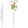 Umelý oranžový svetlicový kvet ako umelý kvet do vázy a na dekoráciu, 55 cm, 4 kusy | Floristik24.sk