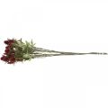 Floristik24 Bodliak Umelý kvet červený bordový 10 hlávok 68cm 3ks