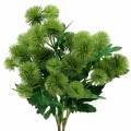 Floristik24 Bodliak hodvábny kvet zelený 56cm 3ks