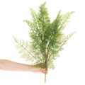 Umelá papraďová vetvička, viacero vetiev, zelená, 68 cm | Floristik24.sk