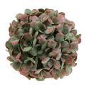 Floristik24 Echeveria guľa umelá zelená, červená Ø22cm