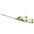 Floristik24 Echinacea kvet umelý biely 90cm