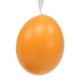 Floristik24 Vajíčko na zavesenie zeleno-oranžové 6cm 12ks