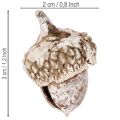 Žalude, prírodný produkt na dekoráciu, obielené, 1-3 cm, 300 g | Floristik24.sk