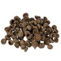 Floristik24 Prírodné žaluďové čiapky, dekoratívne misky na jeseň a advent, 2 cm, 300 g