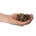 Prírodné žaluďové čiapky, dekoratívne misky na jeseň a advent, 2 cm, 300 g | Floristik24.sk